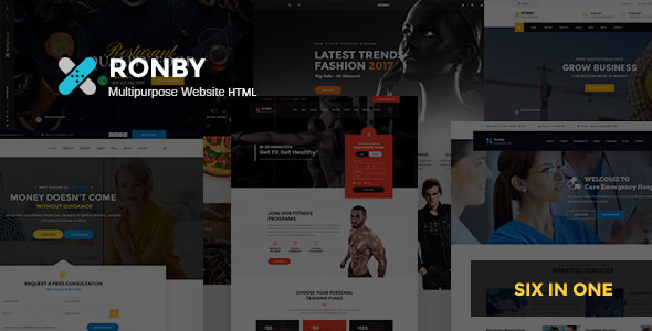 Ronby  –  6 Niche 多用途HTML5模板-爱极客